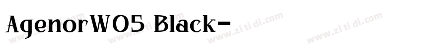 AgenorW05 Black字体转换